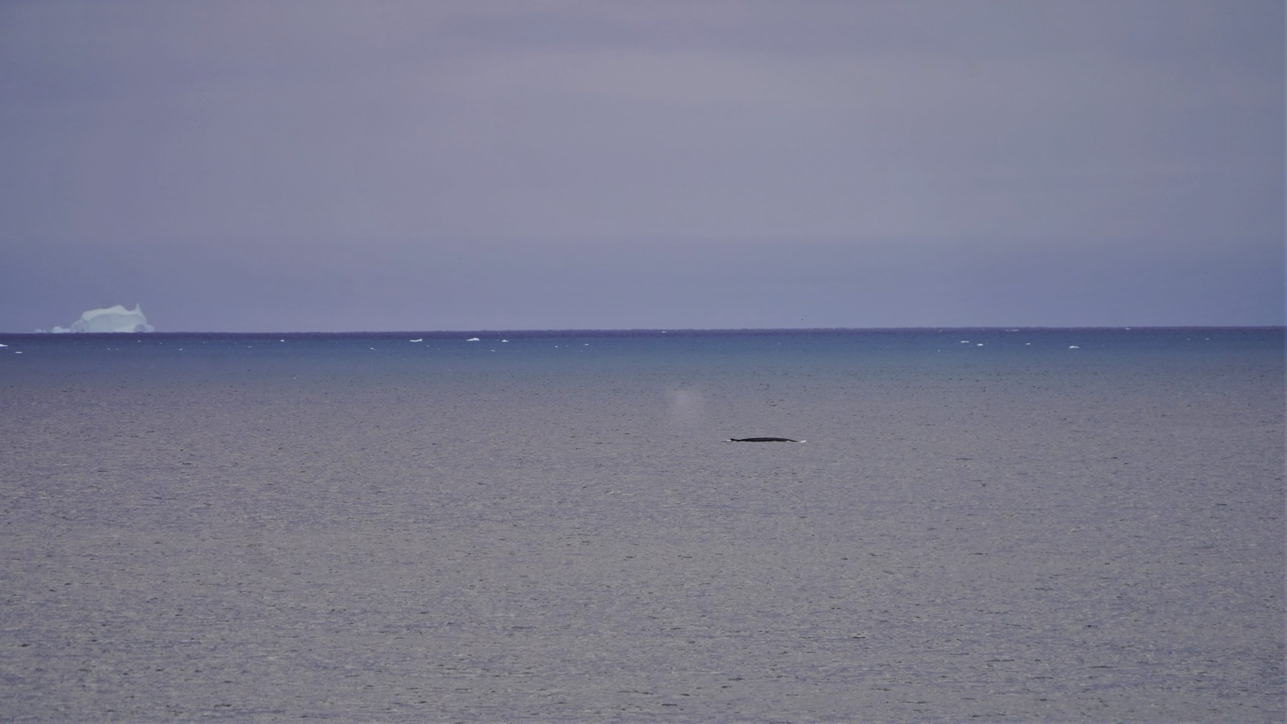 52265390744_09277e7339_o (1)-min