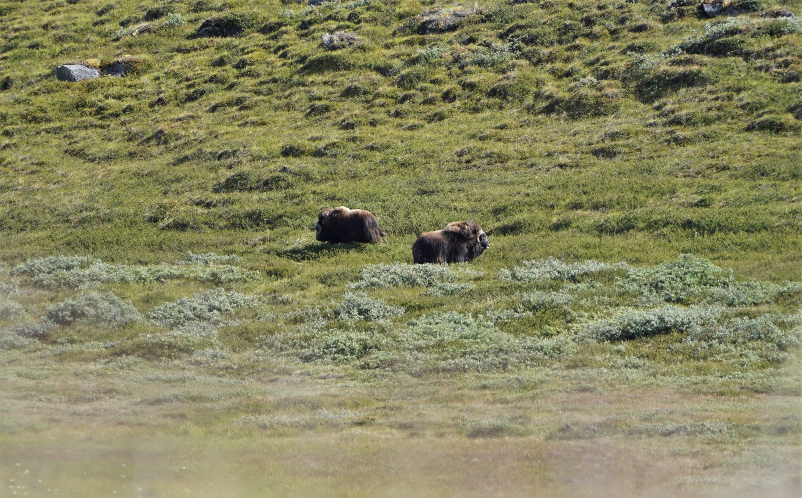 52265118676_6e3186d347_o-min