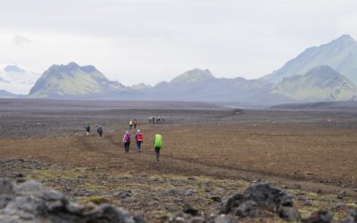 Trek Laugavegur